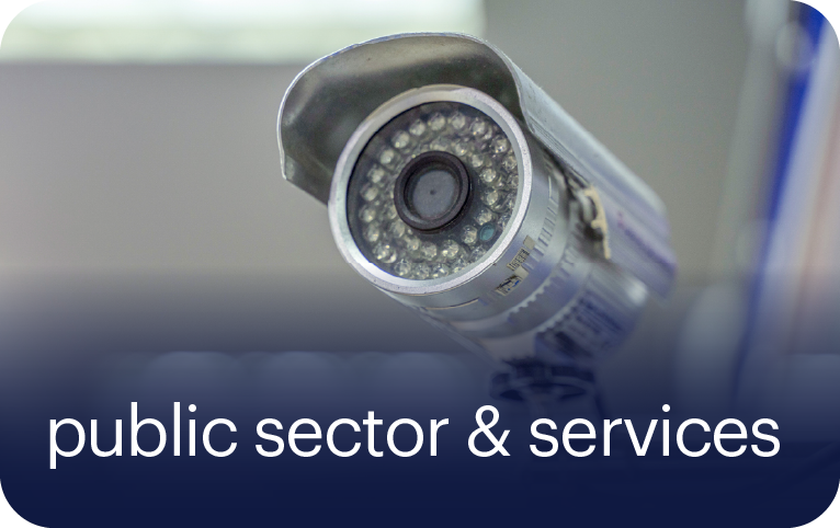 public sector & services
