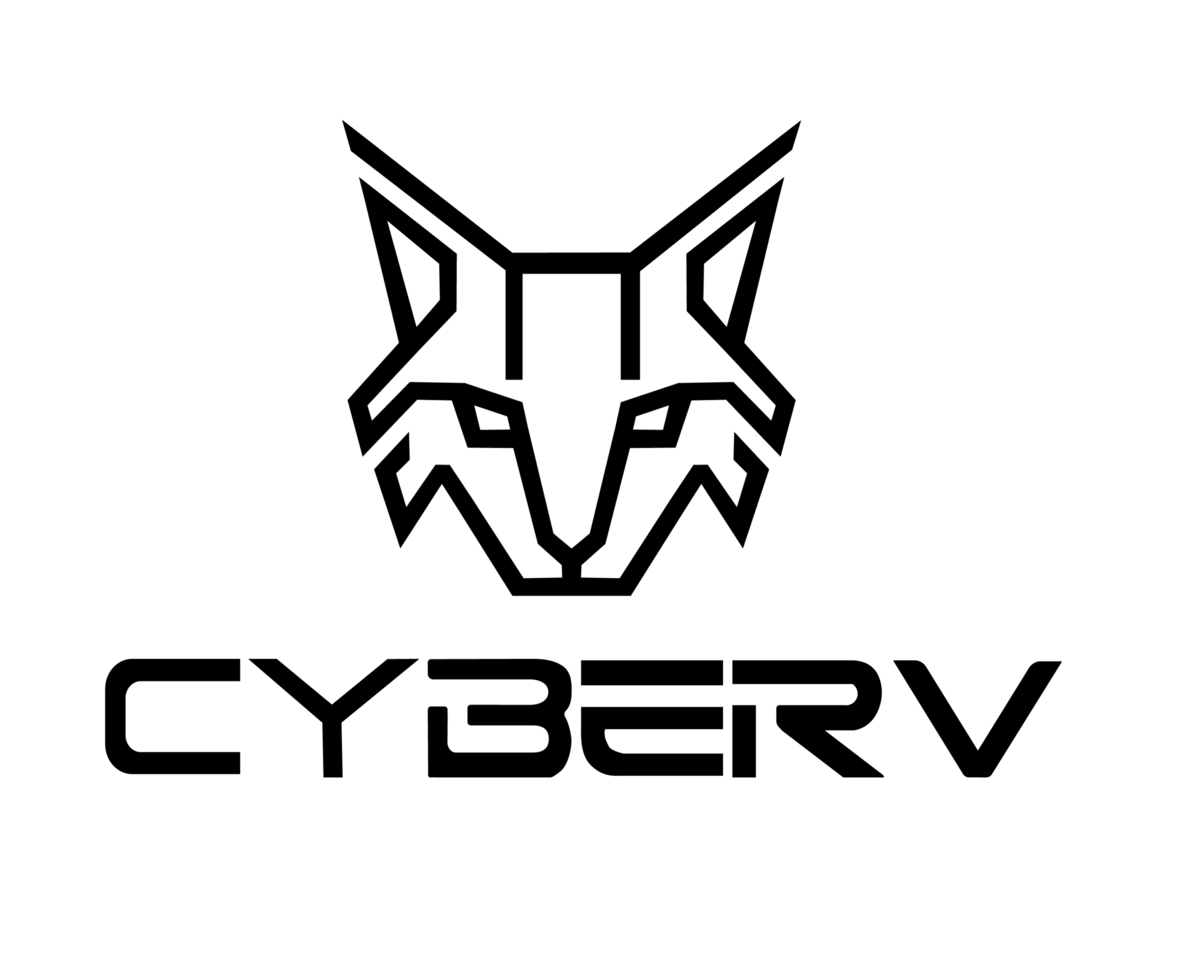 cyberv